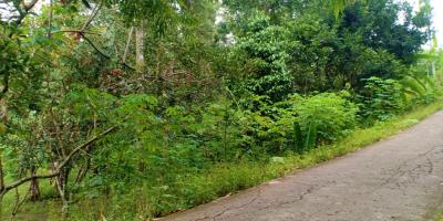 Dijual Tanah Kebun Durian 3600m² Mojogedang Karanganyar