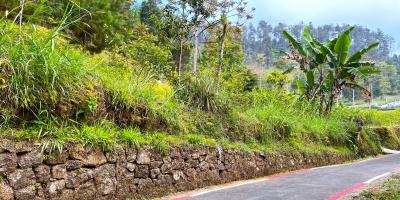 Tanah 1000m² Kawasan Hutan Pinus Kemuning Karanganyar