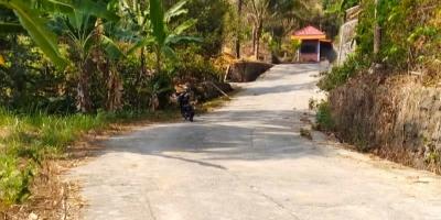 Kebun Durian Produktif Ngargoyoso, Karanganyar