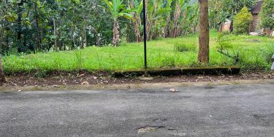 Dijual Tanah 2000m² Ngargoyoso Karanganyar