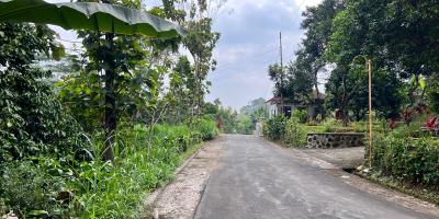 Jual Kebun Durian Murah Karangpandan Karanganyar