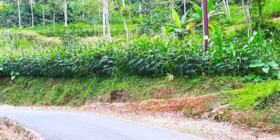 Tanah tepi Jl Kerjo-Sambirejo Kerjo Karanganyar