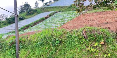 Tanah Dijual View Tanpa Terhalang Dekat Candi Cetho Karanganyar