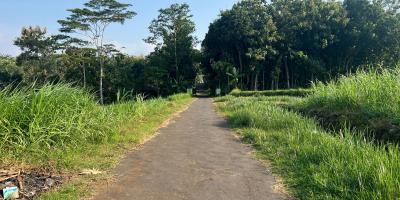 Dijual Tanah Datar View Gunung Lawu Kedawung Sragen