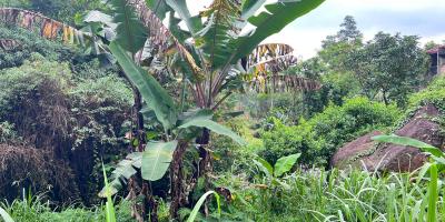 Tanah View Kebun Teh 450m² Dekat Jembatan Kemuning Karanganyar