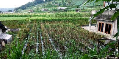 Tanah 350 Juta Kawasan Villa kemuning Karanganyar