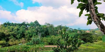  Tanah Dekat Ponpes Isy Karima & Al Azhar Karangpandan Karanganyar