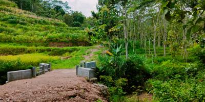 Tanah Kebun Jati Sambirejo Sragen