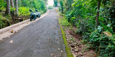 Tanah Cocok Untuk Kebun Buah Mojogedang Karanganyar