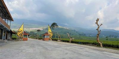 Tanah Datar View Kebun Teh & Jembatan Kaca