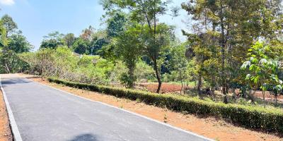  Kebun Buah 1550m 250 Juta Mojogedang Karanganyar