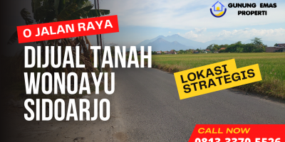 Jual Tanah Sidoarjo Wonokasian Wonoayu