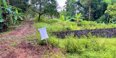 Kebun Durian Bonus Joglo Sederhana Karanganyar