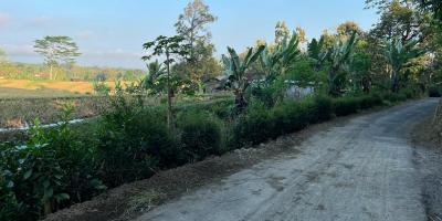 Jual Tanah Sawah 6890m² Karanganyar