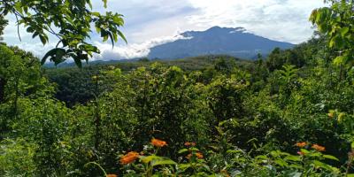 Tanah Pekarangan 75Jt Mojogedang  Karanganyar 