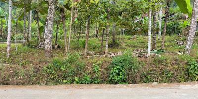 Dijual Kebun Durian Dekat Pasar Kemuning Karanganyar 