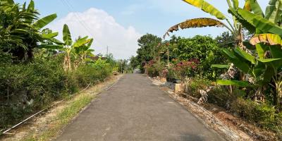 Tanah Kebun Durian 2000m2  Siap Panen Mojogedang Karanganyar 