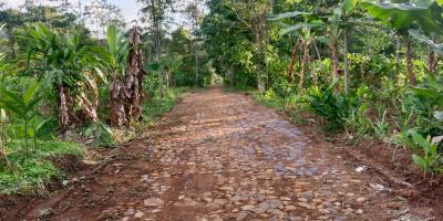 Tanah Murah 99 Juta Dekat Candi Cetho Kemuning