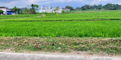 Tanah Datar View Gunung Lawu Kerjo Karanganyar 