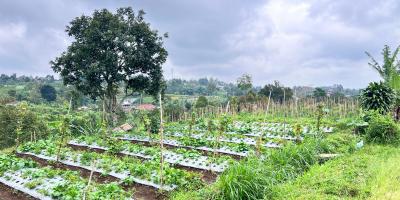 Tanah 3800m² Kawasan Wisata Kemuning, Solo Raya 