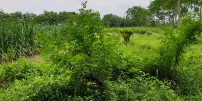 Tanah Luas Siap Bangun Lokasi 0 Jalan Raya Nasional Mojokerto