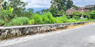 Tanah 250 Juta Strategis Bangun Villa Karangpandan